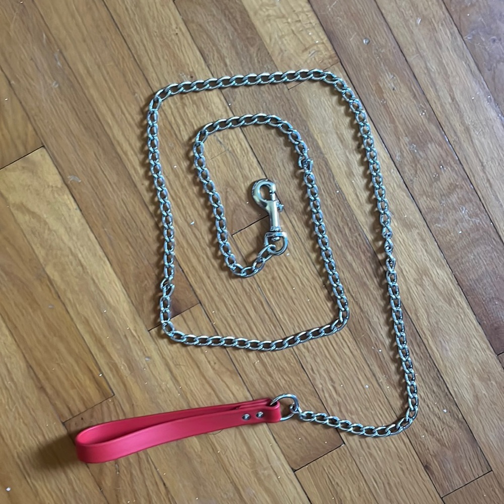 Chain Dog Leash